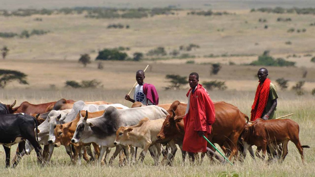 Fulani Herdsmen