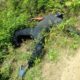 Abducted Auchi Polytechnic Staff Found Dead In His Farm