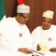 Federal Govt To Make Rice Cheaper, Sufficient Before Christmas - Atiku