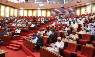 BREAKING: Social media bill scales 2nd reading in Senate