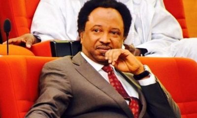 Senator Shehu Sani