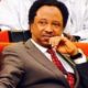 Senator Shehu Sani